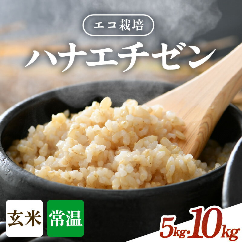【ふるさと納税】【先行予約】【令和8年産 新米】 エコ栽培 ハナエチゼン 玄米 5kg 10kg（5kg×2袋） ／ 米 お米 5キロ 10キロ 鮮度抜群 福井県産 はなえちぜん ご飯 新鮮 玄米 ※2026年9月上旬以降順次発送予定