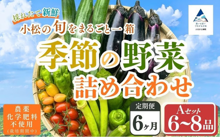 【定期便6ヶ月】季節の野菜詰め合わせ Aセット 野菜食べ比べ 旬の野菜 野菜セット定期便 | 石川県 小松市 【Kacchan.Farm】