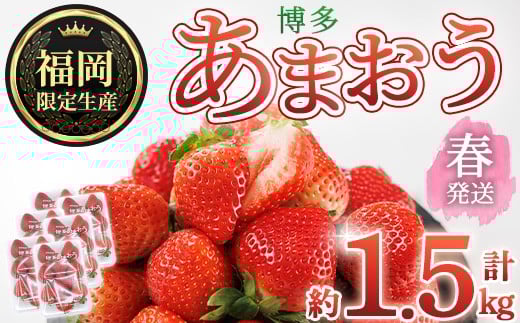 ＜先行予約受付中！2026年2月上旬～2026年4月下旬に順次発送予定＞ 博多あまおう・春 (計約1.5kg) いちご 苺 フルーツ 果物 くだもの 福岡限定 家庭用 冷蔵＜離島配送不可＞【ksg1741】【農産物直売所ほたるの里】