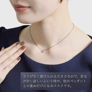 純チタン天然ダイヤモンド0.05ctネックレス | ジュエリー 新潟県 弥彦村