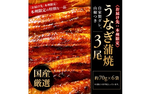 国産 うなぎ蒲焼 140g× 3尾入 〈 国産 うなぎ 蒲焼 レトルト 鰻 ウナギ セット 自家製タレ 山椒付き 炭火 蒸し 関東風 土用 丑の日 ギフト プレゼント 贈り物 贈答 誕生日 父の日 母の日 お歳暮〉 [№5412-0022]