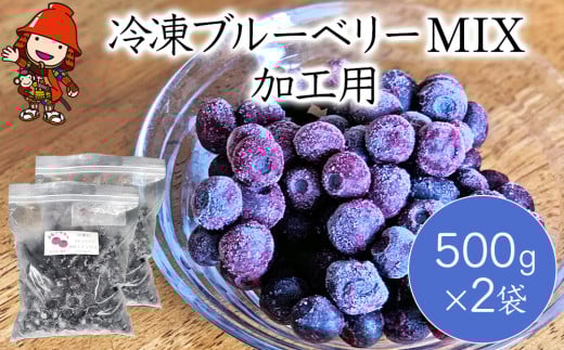 冷凍ブルーベリー MIX 加工用 500g×2袋 | フルーツ 果物 くだもの ブルーベリー 冷凍 ミックス ベリー ラビットアイ サザンハイブッシュ 大分県産 九州産 国産 大分県 中津市