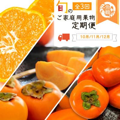 ふるさと納税 かつらぎ町 【発送月固定定期便】紀州和歌山産旬のご家庭用果物セット(ひらたね・富有柿・みかん)全3回