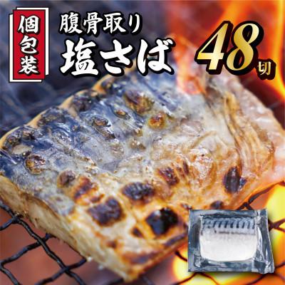ふるさと納税 銚子市 【真空個包装】腹骨取り塩さば切身 48切