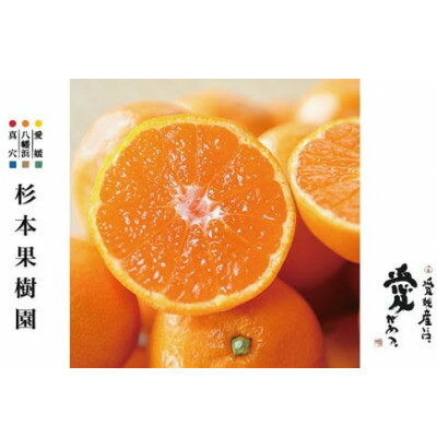 【ふるさと納税】【2025年11月以降順次発送】〈特選〉真穴、杉本果樹園の八寿みかん(小玉)5kg【C34-18】_ みかん ミカン 柑橘 フルーツ くだもの 果物 ふるーつ 青果 果実 甘い ジューシー 産直 産地直送 旬 【1510692】