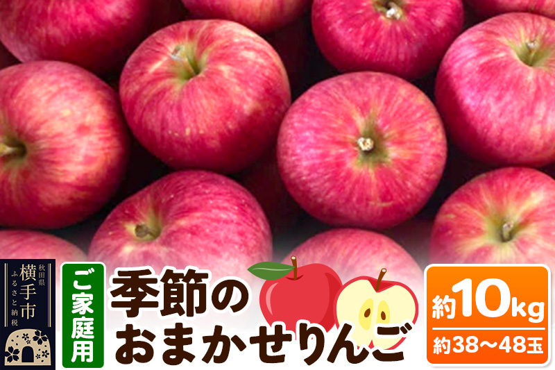 【訳あり】秋田県産 ご家庭用 季節のおまかせりんごシリーズ 約10kg(約38玉〜48玉前後)【簡易梱包での発送】