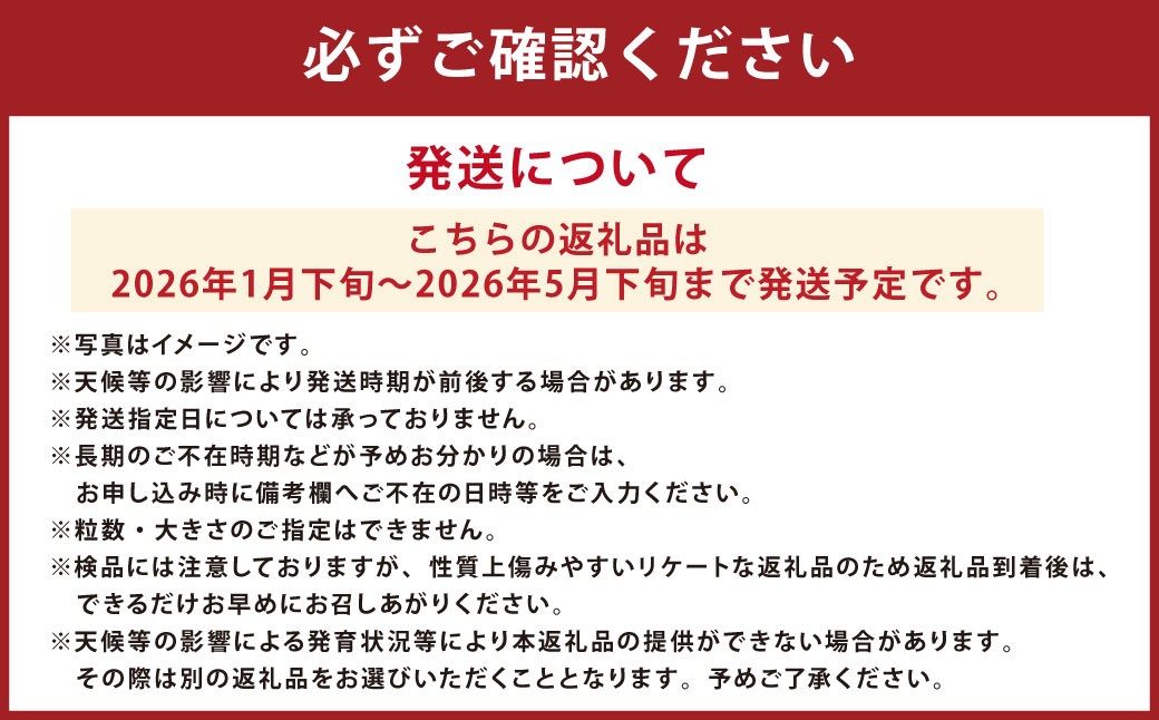 【2026年1月下旬発送開始】Vegettimoトマトセット 大玉トマト1kg＋特選ミニトマト2kg（熊本県産）