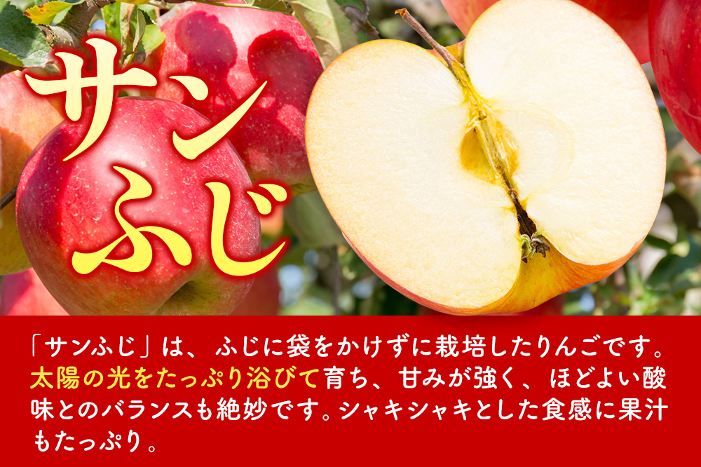 りんご 【糖度13度以上】サンふじ 約3kg 【家庭用】 青森県 フルーツ 果物