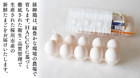 【ふるなび限定】【6ヵ月定期便】雪平養鶏場 桜川育ちの 新鮮 たまご 合計180個 （20個＋10個割れ補償付)×6回 [SC034sa] FN-Limited-PR
