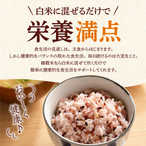 【隔月6回　定期便】国内産 五種玄氣米 250g×6個 1500g×6回_国内産 五種玄氣米 250g×6個 お届け回数 6回 玄米 ブレンド 雑穀米 もち赤米 うるち玄米 もち玄米 もち黒米 もち緑