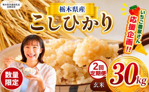 【定期2回】 数量限定 訳あり 定期便 令和8年度 栃木県産コシヒカリ 約 30kg | 数量限定 こしひかり  玄米 米 ごはん ご飯 米 kome okome コシヒカリ 栃木県産 訳あり 送料無料 ふるさと納税 那珂川町 栃木県【栃木県共通返礼品】