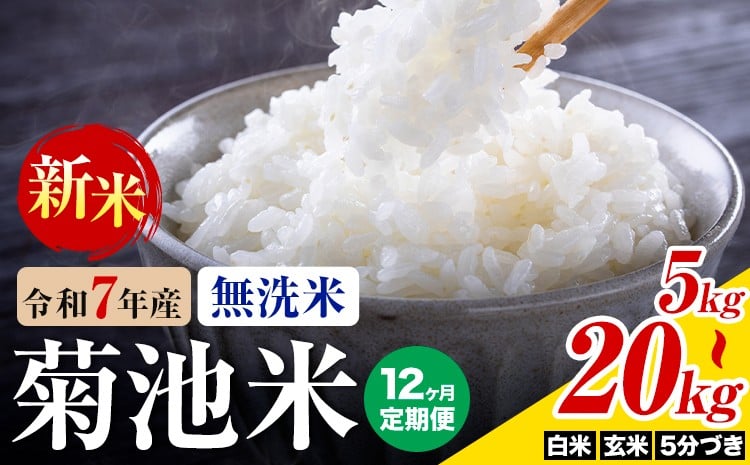 
            【12ヶ月定期便】熊本県産 菊池米 無洗米 白米 玄米 5分づき 5kg/10kg/20kg 選べる内容量 1袋5kg 米 お米 令和7年産 九州産 熊本県産 送料無料《お申込み翌月に出荷予定》玄米 無洗米 白米 米
          