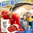 【ふるさと納税】「宮トマト」2kg・＜R6年新米＞特別栽培米「ひのひかり」2kg / とまと トマト みにとまと ミニトマト プチトマト こめ おこめ コメ 米 ※ お米 白米 ひのひかり ヒノヒカリ 新米 しんまい / 諫早市 / 株式会社宮下農園 [AHCG014]