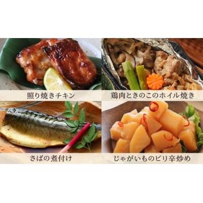 ふるさと納税 春日井市 【定期便11ヶ月】お惣菜おかわりの無添加のお惣菜セット/12種類各1個合計12個のセット |  | 02