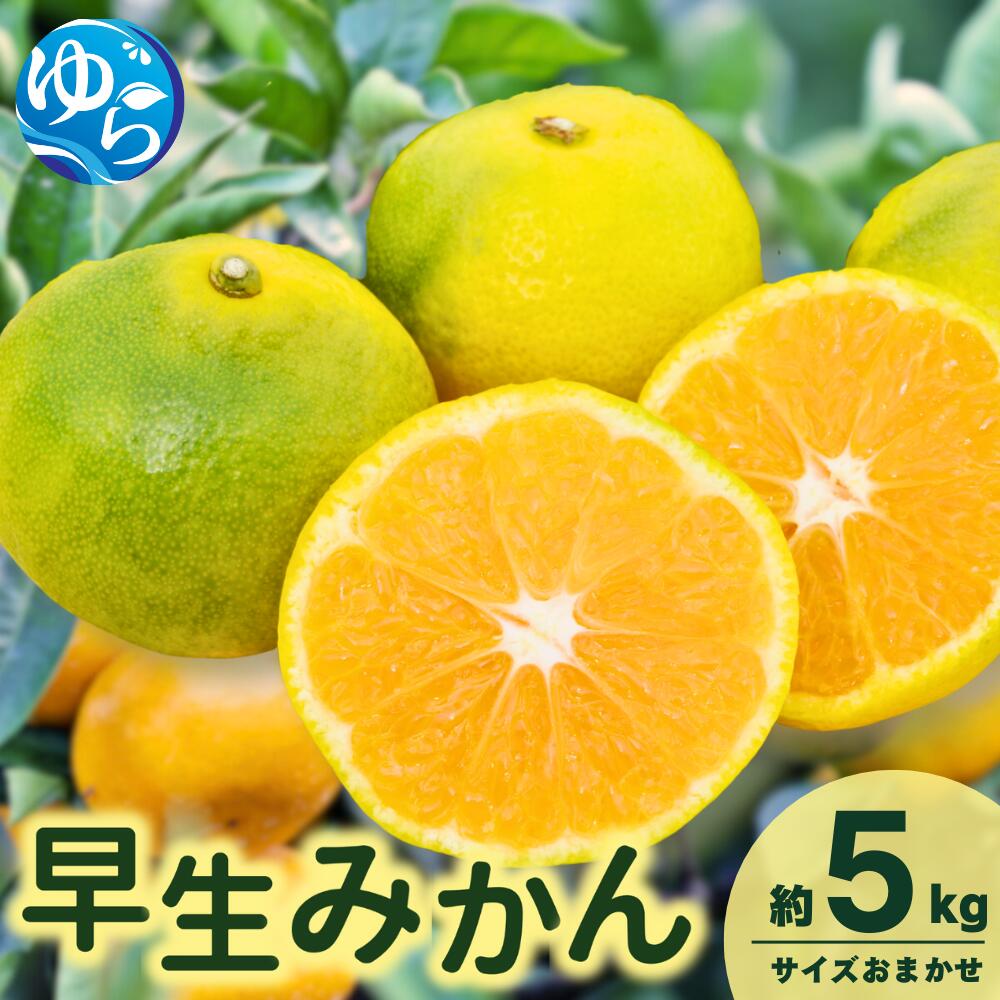 【ふるさと納税】由良早生みかん(サイズおまかせ)約5kg