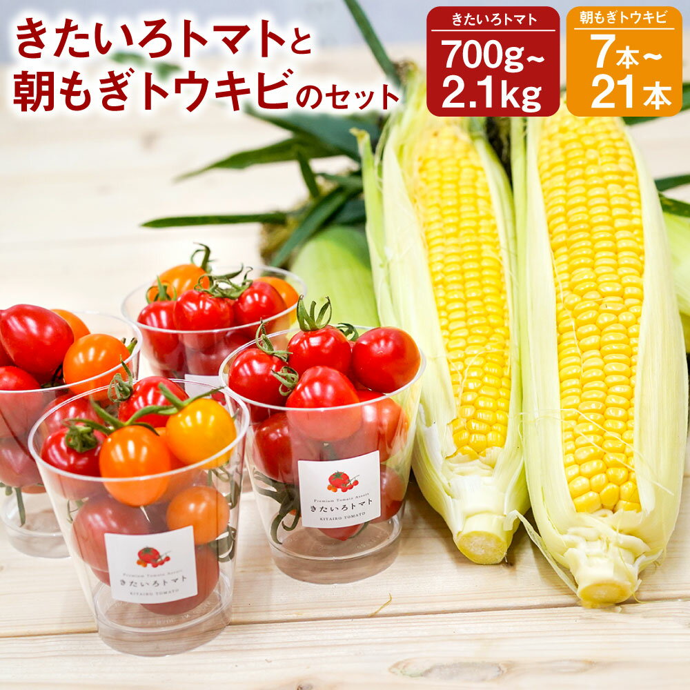 【ふるさと納税】＜選べる容量＞ きたいろトマトと朝もぎトウキビのセット（7本・700g / 14本・1.4kg / 2.1kg・21本） とうもろこし トマト フルーツトマト 野菜 朝採れ オーガニック 北広島市産 北海道 新鮮 国産 冷蔵 送料無料 【2026年8月上旬～9月上旬迄発送予定】