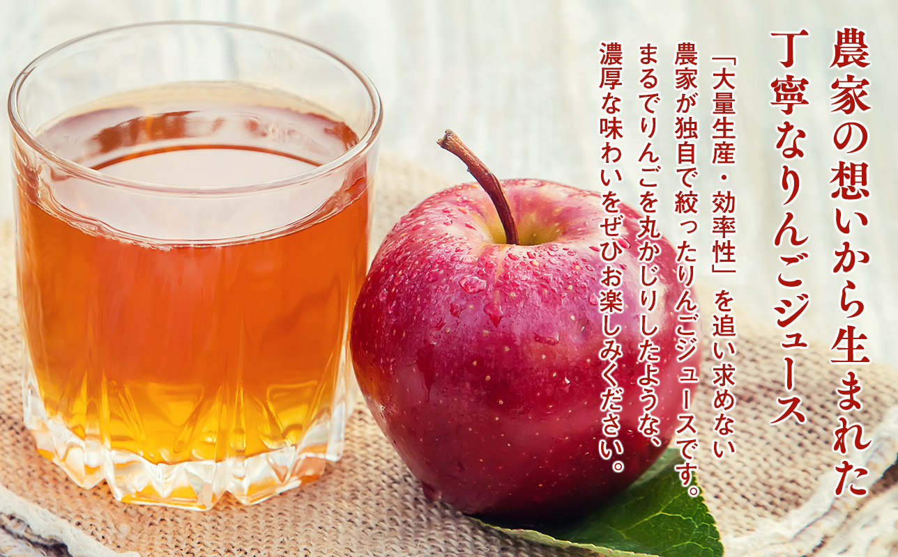 田中農園 100年の歴史 蜜星ジュース 1L×3本【青森りんご・りんごジュース】