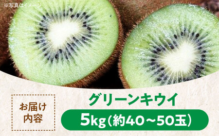 【先行予約】【11月中旬より順次配送】 グリーンキウイ 5kg （約40から50玉）果物 キウイフルーツ キウイ フルーツ