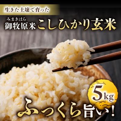 ふるさと納税 東御市 【里山JAPAN】長野県産!生きた土壌で育った御牧原米こしひかり 玄米(令和7年産)　5kg