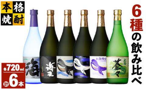 海の蔵「大海酒造」の飲み比べセット！A-1（合計6本）