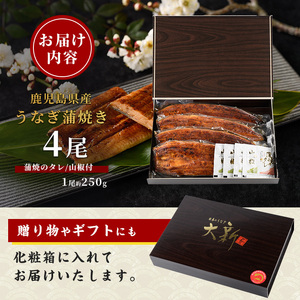 【鹿児島県産】うなぎ蒲焼じっくり焼き約250g×4尾 木目化粧箱入り(大新/038-1108) うなぎ 国産 鹿児島 蒲焼 丑の日 丑 土用丑の日 