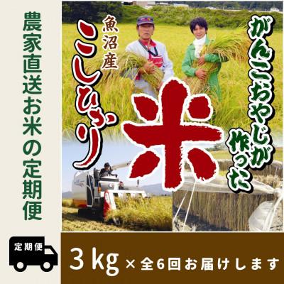 ふるさと納税 南魚沼市 【毎月定期便】がんこおやじが作った南魚沼産コシヒカリ　白米3kg×1袋全6回