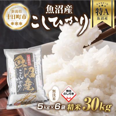 ふるさと納税 十日町市 【無地熨斗】無洗米 魚沼産 コシヒカリ 5kg×6袋 計30kg(美味しい炊き方ガイド付き)
