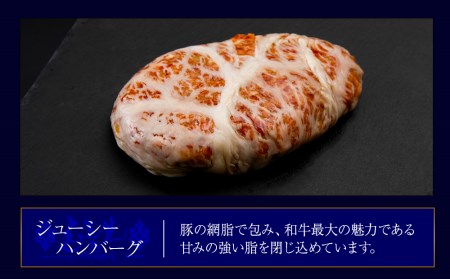 定期便3カ月 お楽しみ 白老牛 2種 食べ比べ ハンバーグ セット 合計10個 モッツァレラ ベーコン 網脂 特製ソース 手造り BY059