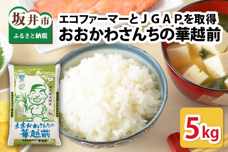【令和7年産】 おおかわさんちの華越前 5kg 精米 [A-10811]