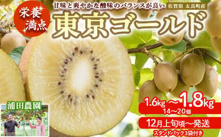 LB-13 栄養満点！東京ゴールド（キウイフルーツ） 14～20個 1.6kg～1.8kg スタンドパック 3袋付き キウイフルーツ キウイ フルーツ 東京ゴールド くだもの 果物 ミネラル豊富 太良町 国産 贈答用