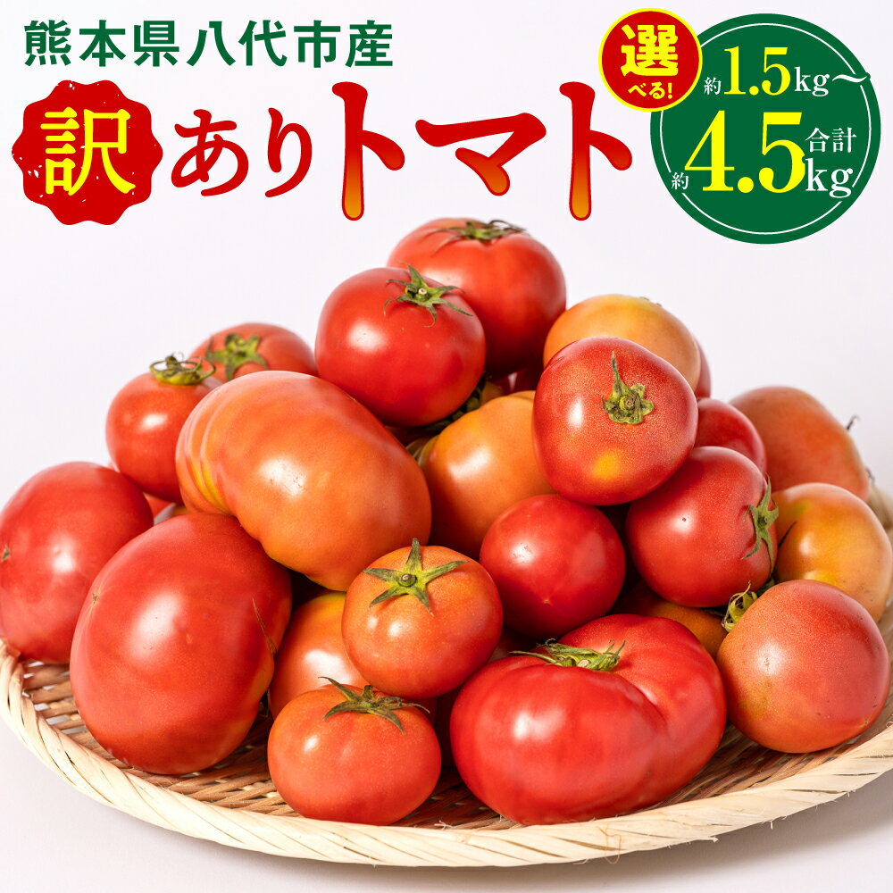 【ふるさと納税】【先行予約】＼ めざましテレビで紹介されました ／ 【訳あり】 八代市産 トマト 約1.5kg ～ 約4.5kg 【選べる内容量】 特産品 規格外 トマト 野菜 やさい とまと ご家庭用 産地直送 九州 熊本県 八代市 順次発送 送料無料 【2026年4月中旬より順次発送】