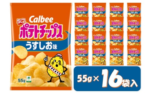 1378 カルビー　ポテトチップス　うすしお味　１６袋