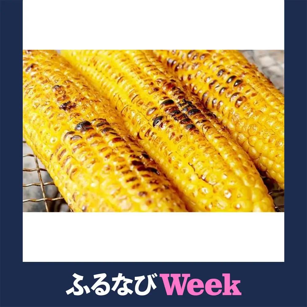 【ふるなびWEEK対象】2026年夏発送 ★数量50限定品★ 北海道のとうもろこし「ゴールドラッシュ」 10本セット  (岸田農園産)｜とうもろこし