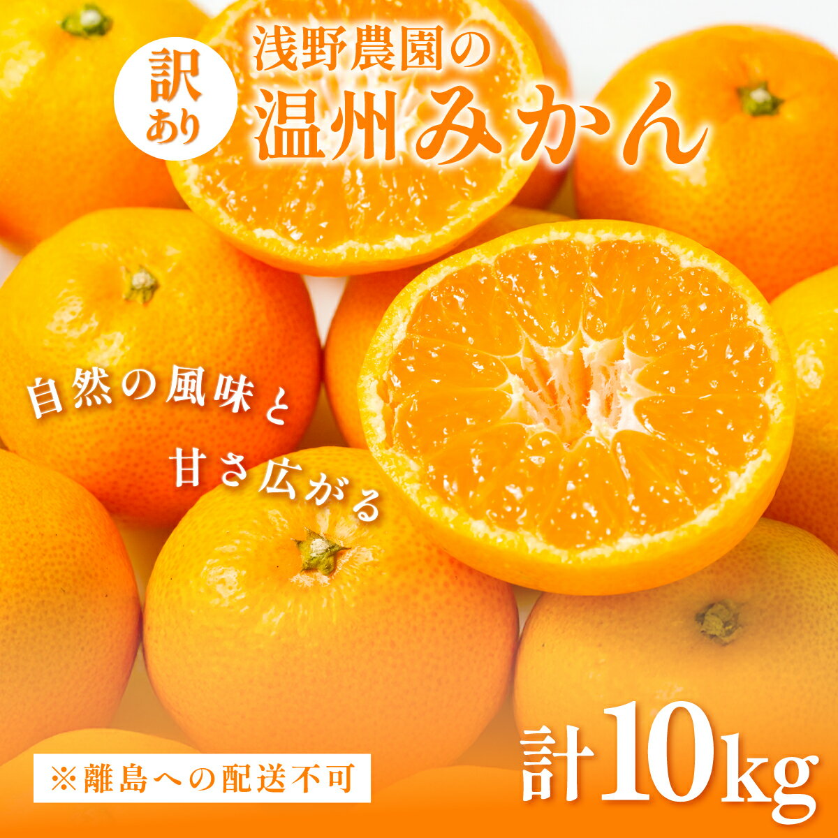 【ふるさと納税】【先行予約】浅野農園の温州みかん 訳あり10kg ※離島への配送不可（2025年12月上旬～12月中旬頃に順次発送予定） 【 ふるさと納税 人気 おすすめ ランキング みかん 柑橘 ミカン 果物 オレンジ 温州 訳あり 10kg 早生 愛媛県 伊方町 送料無料 】 IKTAC005