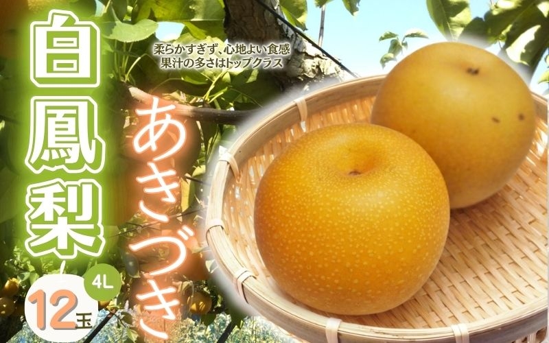 
                  【三重の白鳳梨】白鳳梨(あきづき)4L 12玉 ※お届けは9月上旬から9月中旬頃の予定です/強い甘みとシャキッとした食感！たっぷりの果汁 梨 なし あきづき梨 あきづき あきづきなし 果物 フルーツ 新鮮 おすすめ みずみずしい 味覚 旬 水分 甘み fruit nasi 果肉 果汁 4L 12玉 ブランド梨 白鳳梨 伊賀産 三重県 伊賀市【hkns0002】
                