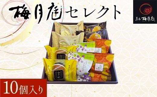 
            梅月庭セレクト 10個入り KCM005 /  ふるさと納税 きみさらず  一つ栗 白牛酪 らっかせい日和 たぬきっ子 饅頭 まんじゅうお饅頭 おまんじゅう 黄身餡 乳菓 栗饅頭 焼饅頭 落花生餡 セット 詰合せ 梅月庭 お菓子 菓子 お茶菓子 茶菓子 お茶請け お茶うけ 和菓子 おかし お土産 土産 贈り物 プレゼント 千葉県 木更津市
          