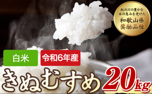 令和6年産 キヌムスメ 20kg 白米 10kg×2 前田農園 《10月末-翌年1月末旬頃出荷(土日祝除く)》和歌山県 紀の川市 米 白米 きぬむすめ 和歌山県奨励品種  白米 