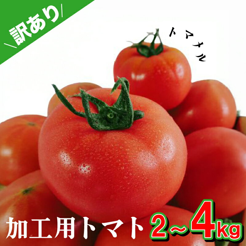 【ふるさと納税】 【訳あり】 加工用 トマト 2kg ~ 4kg トマメル 先行予約 とまと 野菜 産地直送 選べる 容量 料理 調理用 高糖度トマト リコピン ビタミンC 美容 ご自宅用 ご家庭用 栄養 甘い おいしい トマト パスタ ソース サラダ おかず 下関 山口 【 期間限定 】