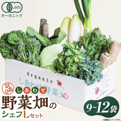 しあわせ野菜畑のシェフLセット　(訳あり規格外の有機野菜を一部使用)【配送不可地域：離島・北海道・沖縄県・四国・九州】