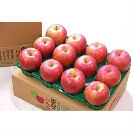 【8月下旬から順次発送!】平均糖度12度以上! サンつがる 約3kg 訳あり クール便 青森 りんご【配送不可地域：離島・沖縄県】【1739258】