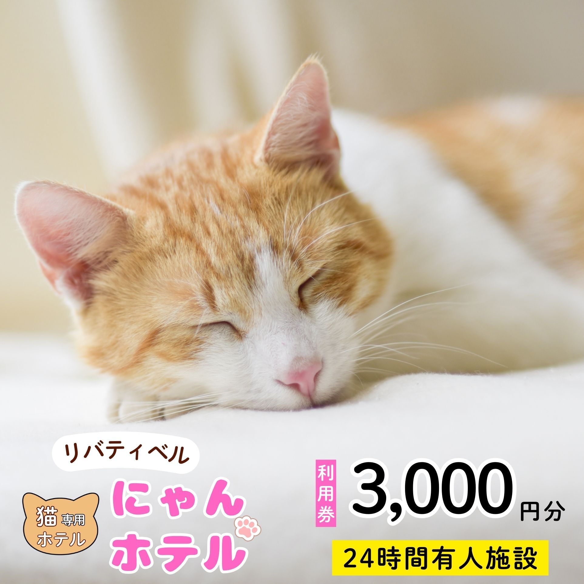 【ふるさと納税】【長野県飯山市】にゃんほてる（猫専用ペットホテル） リベティベル 利用券3,000円分 ペットホテル ねこ ネコ にゃん スキー 旅行 ブリード 田舎 安心 快適 （T-17）