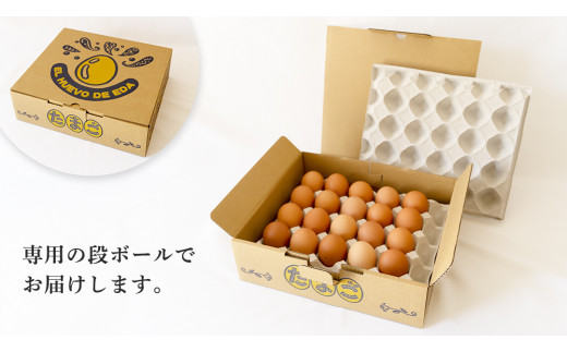 枝さんちのたまご 40個 (M～L40個) 産地直送 たまご 玉子 生卵 鶏卵 タマゴ 平飼い 桜川市産 茨城県産 卵 非遺伝子組換え [BT007sa]