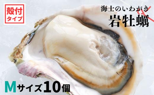 
【のし付き いわがき 殻付きMサイズ 10個】岩牡蠣 生食可 冷凍 牡蛎 牡蠣 かき カキ 岩牡蠣 いわがき 冷凍 父の日 母の日 バーベキュー ギフト
