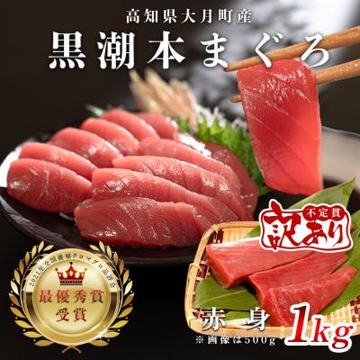 ふるさと納税 大月町 【訳アリ】養殖本マグロ 赤身 1kg 黒潮本まぐろ 小分け柵 受賞実績 高知県大月町