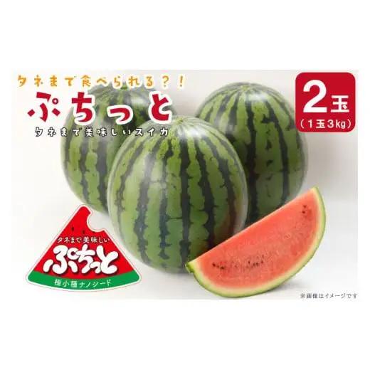 タネまで食べられる？！ タネまで美味しいスイカ「ぷちっと」約6kg（2玉） (CI002)