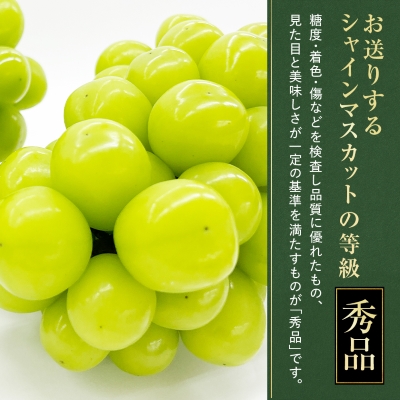 大人気!シャインマスカット秀 1.2kg(2～3房)【配送不可地域：離島】
