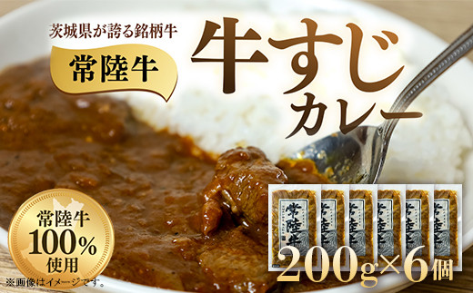 
                  牛すじカレー 200g×6個 茨城県 ブランド牛 常陸牛 使用 521
                
