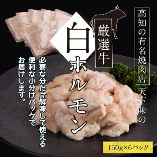 TKA005　白ホルモン 天下味オリジナル本格塩ダレ漬け（150g×６パック） 高知市共通返礼品 人気 牛肉 お肉 小腸 焼き肉 タレ 焼肉 BBQ バーベキュー 冷凍 小分け おつまみ どんぶり お