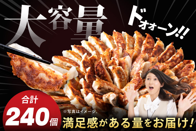 【6ヶ月定期便】満腹餃子 リピーター続出！ボリューム満点！240個（6kg）×6回【老舗 大容量 国産 焼き餃子 冷凍 ぎょうざ ギョーザ 冷凍餃子 簡単調理 惣菜 おかず 水戸市 水戸 茨城県 】（