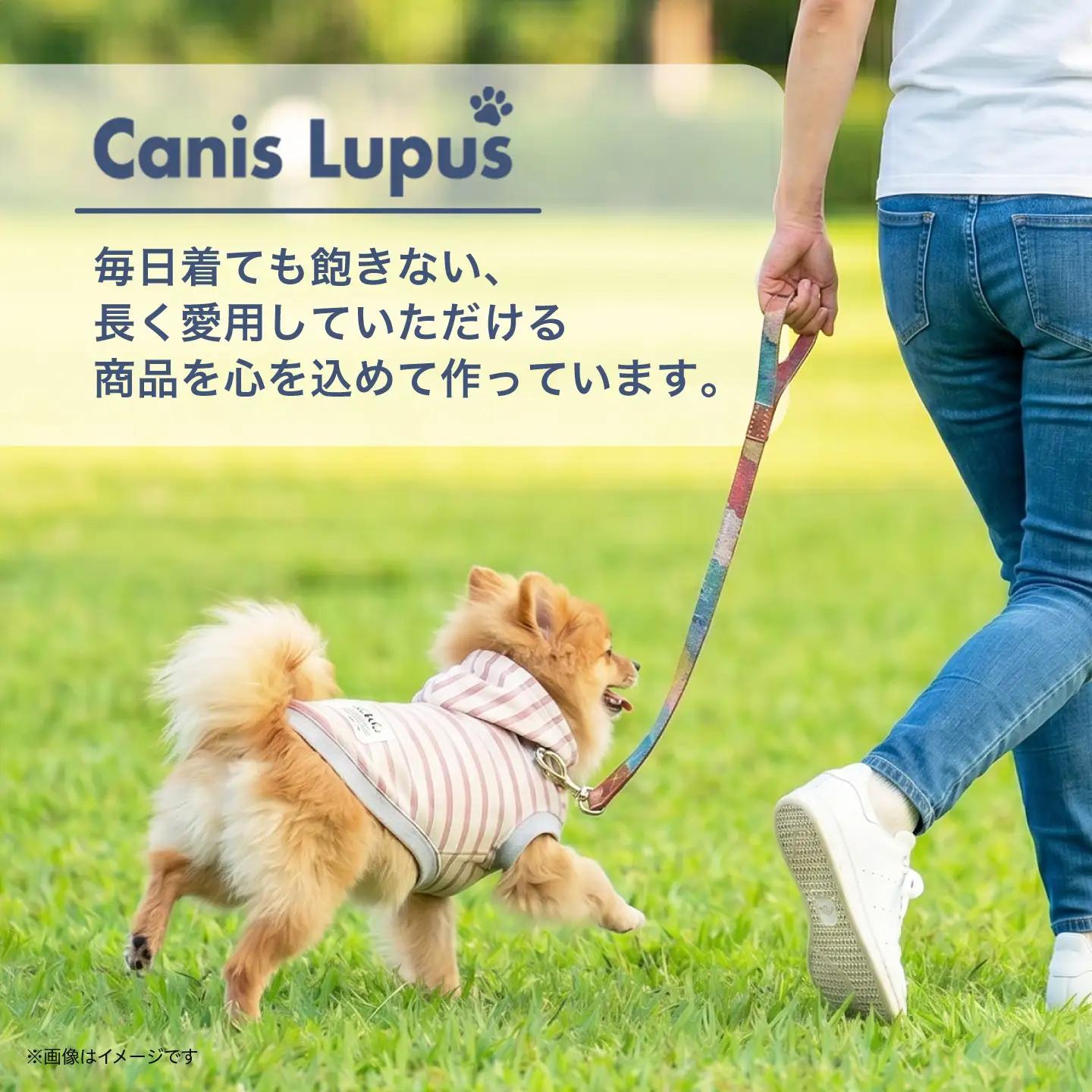 ボーダーパーカー ナチュラル×くすみピンク（SS/S/MM/M） / ペット用品 ドックウェア 犬服 犬用 / 佐賀県 / Canis Lupus [41AAAN015]